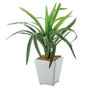 ~jO[|bg hZi 61-174-9-3 yoEfBXvCpi Xpi tFCNO[ilH؁j ~jO[|bg tFCNO[/lH؁zX܏Y fBXv[ }