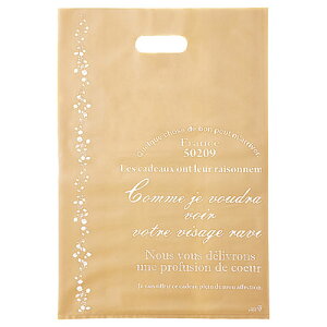 【まとめ買い10個セット品】ナチュラルバイン ポリバッグ 40×50 50枚 61-782-53-3 【 店舗什器 小物 ディスプレー ギフト ラッピング 包装紙 袋 消耗品 店舗備品 】