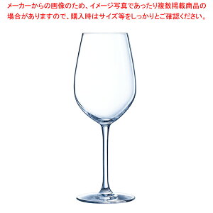 �V�[�N�G���X ���C�� 550 (6����) C&S L9950(F)