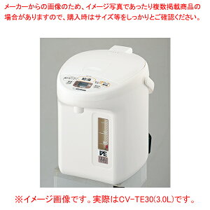 ۈ }CR VEdC܂قт iDj CV-TE30(3.0L)