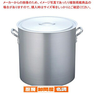  /  A~jE(A}CgH) (ڐt)TKG 48cmy 炨 zy Ɩp zy [ zy X[v zy Ɩp zy  z