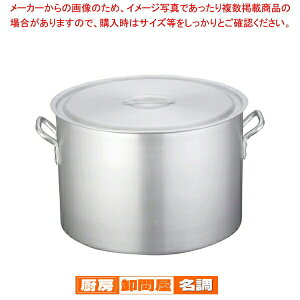  /  A~jE(A}CgH) (ڐt)TKG 51cmy炨 zyƖp zy[ zyX[v zyƖp zy z