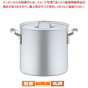 A~ vZNg (ڐt) 24cmy 炨 Ɩp [ X[v Ɩp  A~̔ yV Ɩp痿 ƖppX^ Ɩp