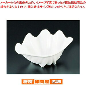 J[C NVF  zCg 339y  T_ {E Ɩp T_{E e[uEFA pi i JX J fG T_{[ lC T_ {[ t[ho[ T