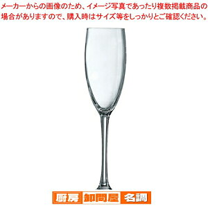 �J�x���l �t���[�g 160 48024(6����)�y�~�[�p�i ������� �������� ���� ��� �Ɩ��p�z