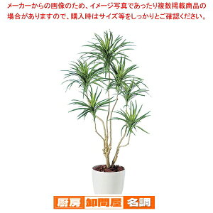 SG RVi gR 90749 1.4mylH 蕨zy[J[/s ~[pi     Ɩpz