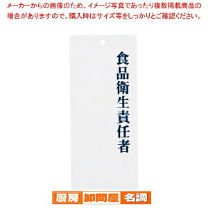  ӔCҕ\v[g IP-21 HiqӔCҁy~[pi     ~[pi     Ɩpz