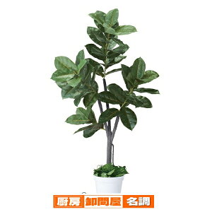 S̖(lH) H150cm 61-655-55-4