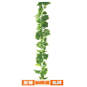 y܂Ƃߔ10ZbgizfbNXK[h ACr[ 3{ 61-174-1-1 y X܏Y  fBXv[ Xܔi z