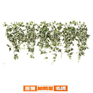 lϗtA O[V_K[hI_ACr[1{ 61-174-2-3 y oEfBXvCpi Xpi tFCNO[ilH؁j O[V_K[h tFCNO[