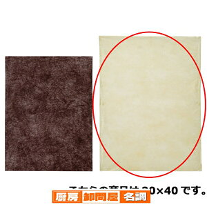 �s�D�z�C���i�[�o�b�N���^�C�vS �x�[�W�� 30×40 100�� 61-283-11-4 �y ���b�s���O�p�i ��� ���t���E�s�D�z �s�D�z�C���i�[�o�b�O ���^�C�v �z