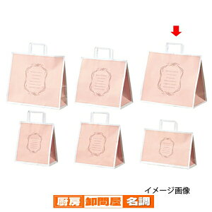 񂰎 Ђ GKgXC[g 35×22×32 50 61-800-92-11 y X܏Y  fBXv[ Mtg bsO   Օi Xܔi z