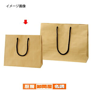 񂰎 Ntg 26×22cm 100 61-313-1-3 y bsOpi  񂰎܁inj 񂰎 z