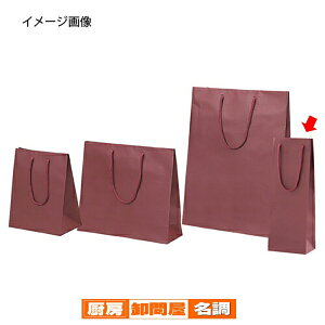 ��񂰎��� �J���[�N���t�g�� ���C���p�G���W 13×9×36cm 10�� 61-313-7-4 �y ���b�s���O�p�i ���� ��񂰎��܁i���n�j �J���[��񂰎��� �z