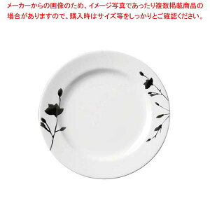 y܂Ƃߔ10Zbgiz z 23cm v[g OFM02-209