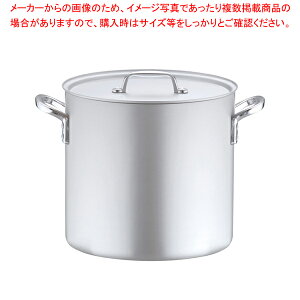 A~ vZNg (ڐt) 30cmy 炨 Ɩp [ X[v Ɩp  A~̔ yV Ɩp痿 ƖppX^ Ɩp