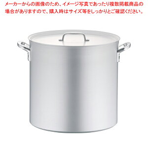 A~ vZNg (ڐt) 48cmy 炨 Ɩp [ X[v Ɩp  ƖpA~ ̔ yV ƖppX^  Ɩpʔ́z