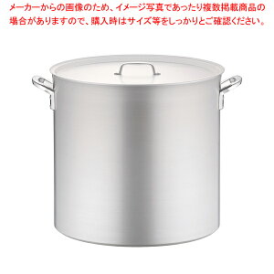 A~ vZNg (ڐt) 60cmy 炨 Ɩp [ X[v Ɩp  A~̔ yV Ɩp痿 ƖppX^ Ɩp