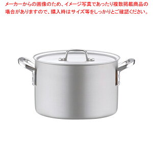 A~ vZNg (ڐt) 24cmy 炨 łp琡^ [p [X[v Ɩp Ɩp A~̔  ƖppX^ Ɩ