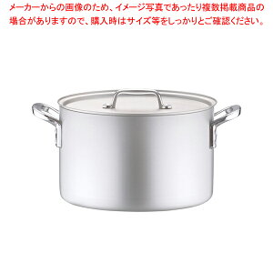 A~ vZNg (ڐt) 30cmy 炨 łp琡^ [p [X[v Ɩp Ɩp A~̔  ƖppX^ Ɩ