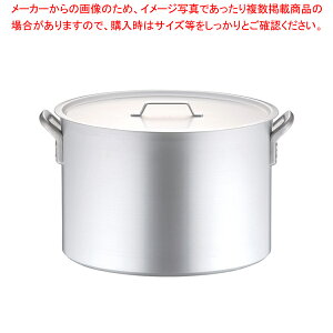 A~ vZNg (ڐt) 48cmy炨 łp琡^ [p [X[v Ɩp A~ Ɩp ǂ [  Ɩp