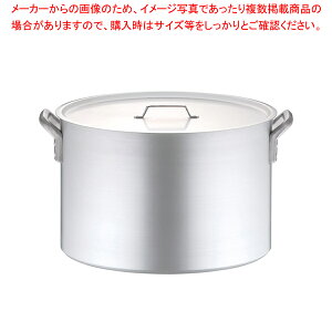 A~ vZNg (ڐt) 54cmy 炨 łp琡^ [p [X[v Ɩp Ɩp A~̔  ƖppX^ Ɩ