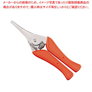 }X \oT~y ͂ Lb` Ɩp ͂݃uh p͂ ʔ ΂ Lb`͂ ߗ΂݁z