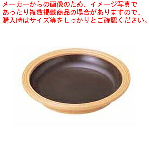 BI-21 \ ^ 21cm AC{[y p yy ȓ z IHΉ y   Ɩpz