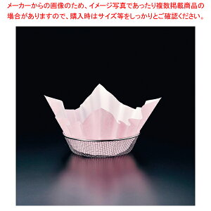   (300)  M33-254ylC  Ɩp ̔ yV ʔ́z