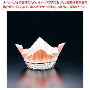   (300)  M33-273ylC  Ɩp ̔ yV ʔ́z