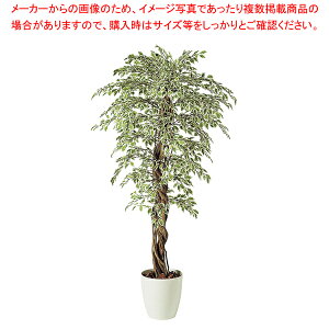 SG xW~i X^[CgAi 90723 1.5mylH 蕨zy~[pi     ~[pi     Ɩpz