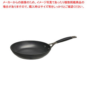 ル・クルーゼ TNS シャロー・フライパン 20cm 962023-20 (フライパン  