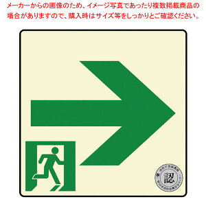 �����E�ʘH�U���W���X�e�b�J�[ (���P�x�~����)TSN961