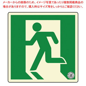 �����E�ʘH�U���W���X�e�b�J�[ (���P�x�~����)TSN815