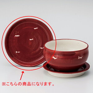 aH I358-098 NEWWDON5.0WMyA~ DONA~DONzy≮  H e[uEFA Ɩp  Xg iX ze ƒpz