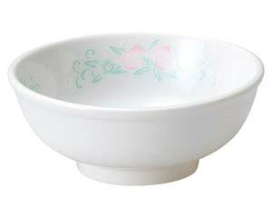 z664-598  5.0ʘy≮  H e[uEFA Ɩp  Xg iX ze ƒpz