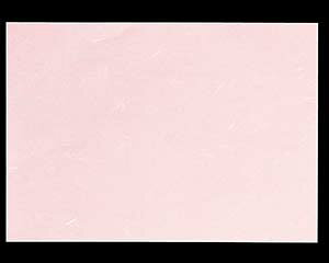 y܂Ƃߔ10Zbgiz I746-218 Rs[paCT-04 sN A4 (~Vږ)yLZ/ԕisz
