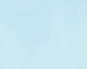 I746-538 FʑϖTA-C09BN Cgu[ 3yECJz