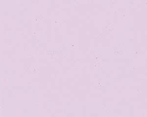 y܂Ƃߔ10Zbgiz I746-558 FʑϖTA-C09PN sN 3yLZ/ԕisz