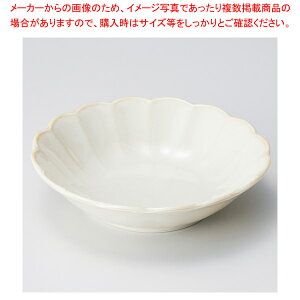 c053-218 N[Ԍ^13cm y≮  H e[uEFA Ɩp  Xg iX ze ƒpz