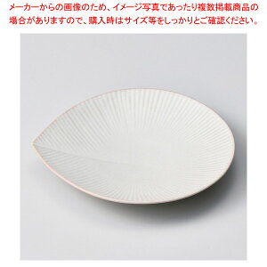 222-268 h`F18cmXM sN y≮  H e[uEFA Ɩp  Xg iX ze ƒpz