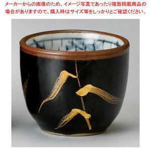 ~284-708 Vڋۂ y≮  H e[uEFA Ɩp  Xg iX ze ƒpz