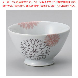 I369-238 zԒq y≮  H e[uEFA Ɩp  Xg iX ze ƒpz