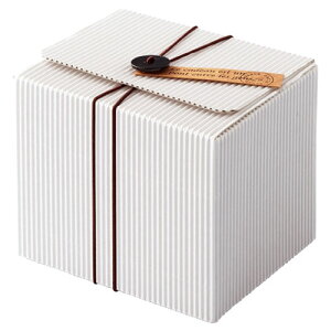 {^^OtzCgMtg{bNX 11×9.8×9.7 10 61-285-4-1 y X܏Y  fBXv[ Mtg bsO   Օi Xܔi z