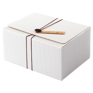 {^^OtzCgMtg{bNX 21.1×16.3×10.2 10 61-285-4-3 y X܏Y  fBXv[ Mtg bsO   Օi Xܔi z