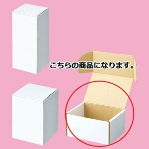 t[{bNX 13×9.8×6.8cm 10 61-286-2-6 ybsOpi Mtg{bNX zCg 10  MtgbsO  Mtg{bNX v[g 蕨 G Օi 킢 Ɩpz