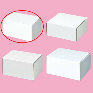 t[{bNX 15×11.2×7.8cm 10 61-286-2-7 ybsOpi Mtg{bNX zCg 10  MtgbsO  Mtg{bNX v[g 蕨 G Օi 킢 Ɩpz