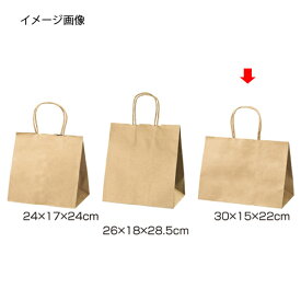 【まとめ買い10個セット品】丸ひもタイプ 茶無地 30×15×22 200枚 61-431-24-15 【 店舗什器 小物 ディスプレー ギフト ラッピング 包装紙 袋 消耗品 店舗備品 】