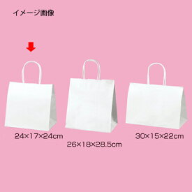 【まとめ買い10個セット品】丸ひもタイプ 白無地 24×17×24 200枚 61-431-25-13 【 店舗什器 小物 ディスプレー ギフト ラッピング 包装紙 袋 消耗品 店舗備品 】