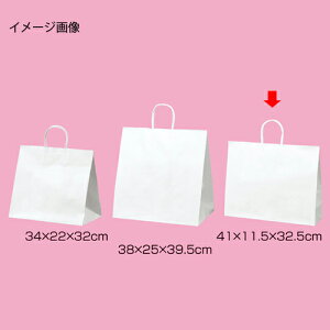 ۂЂ^Cv n 41×11.5×32.5 200 61-431-25-21 y X܏Y  fBXv[ Mtg bsO   Օi Xܔi z